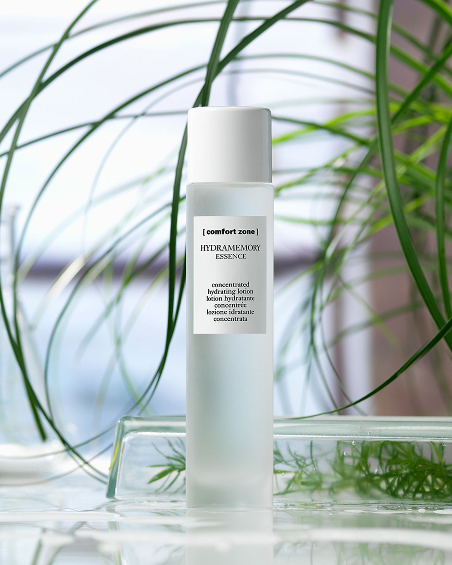 Hydramemory Essence