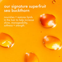 amika normcore signature shampoo