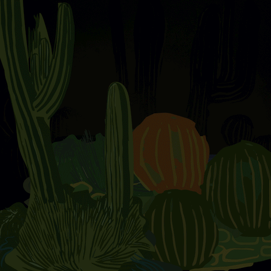 The Exotic Garden