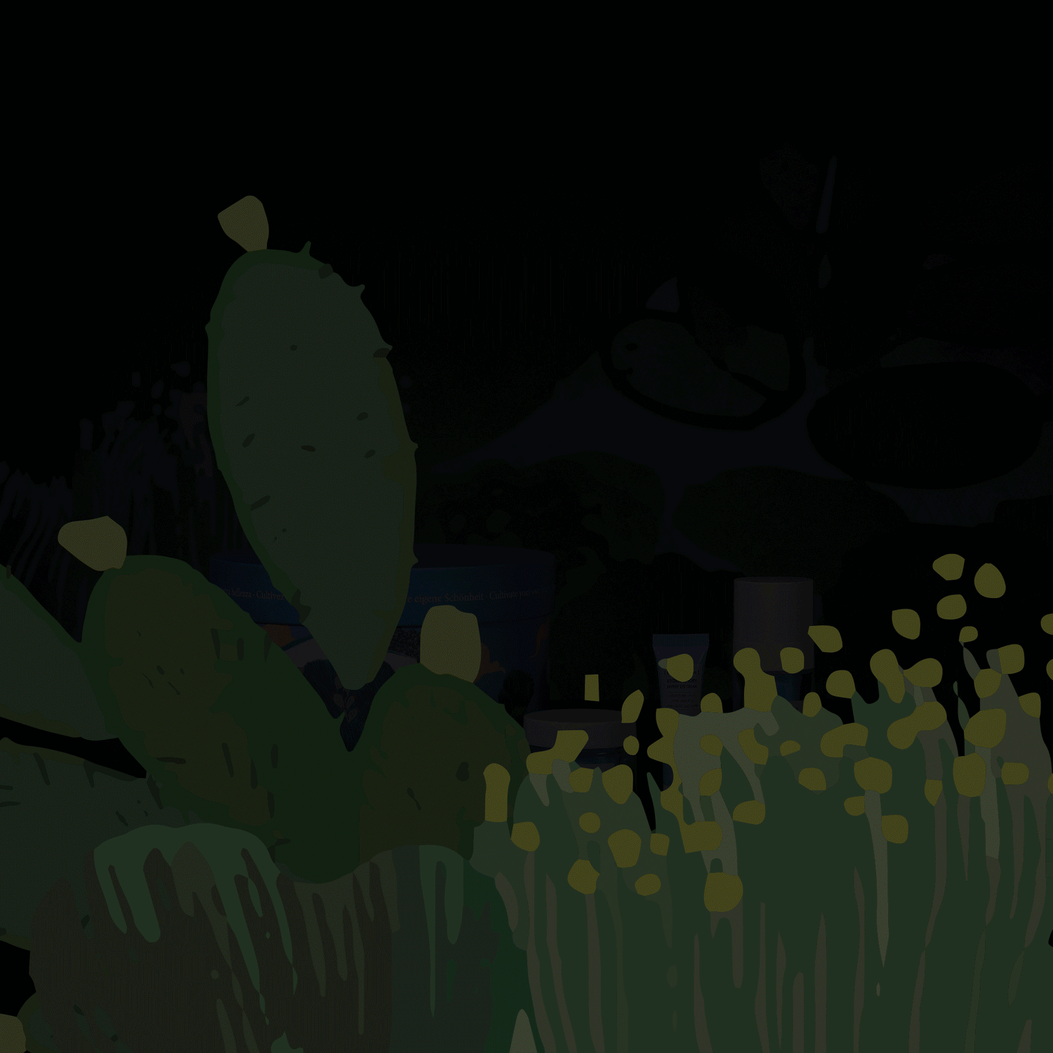 The Mediterranean Garden