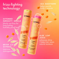 amika Forget Frizz Shampoo 9.2oz/275ml