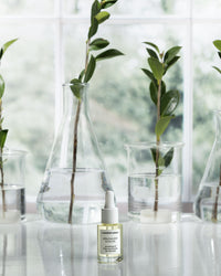 Comfort Zone Specialist Hand Oil