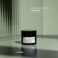 Skin Regimen Lx Night Renewal Cream 50ML