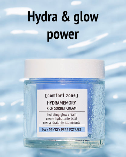 Hydramemory Rich Sorbet Cream
