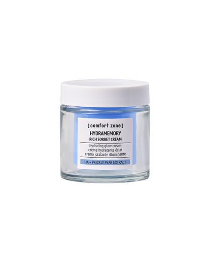 Hydramemory Rich Sorbet Cream