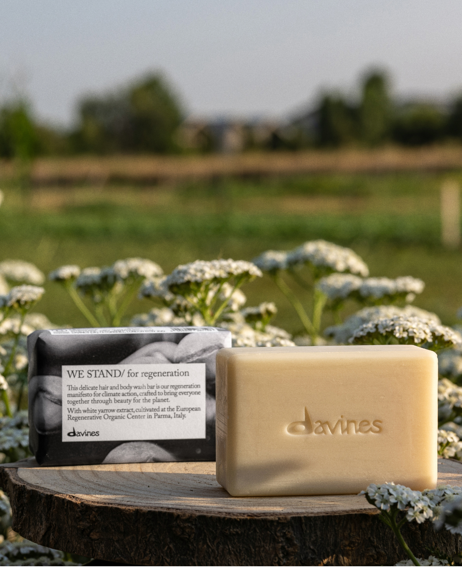 We Stand For Regeneration