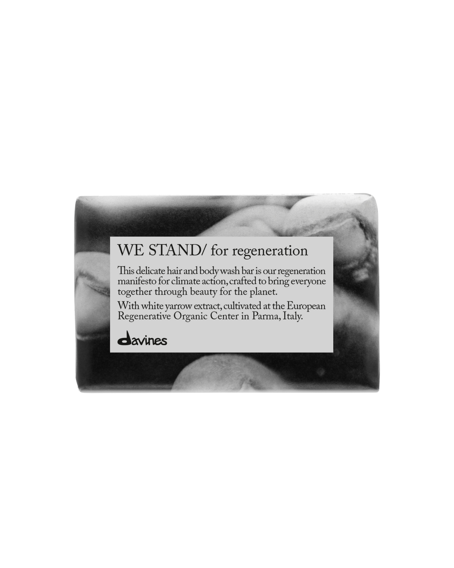 We Stand For Regeneration