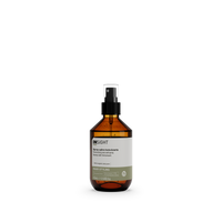 Insight Texturizing Sea Salt Spray 150ml front view by Insight | EIDEAL