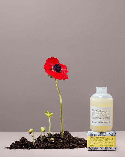 LOVE CURL Shampoo