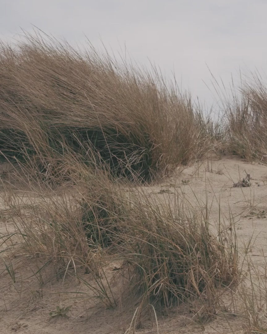 Sun Soul Face & Body Aftersun