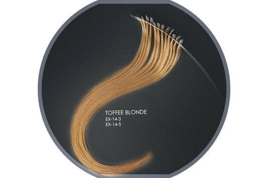 EXTENDED Toffee Blonde